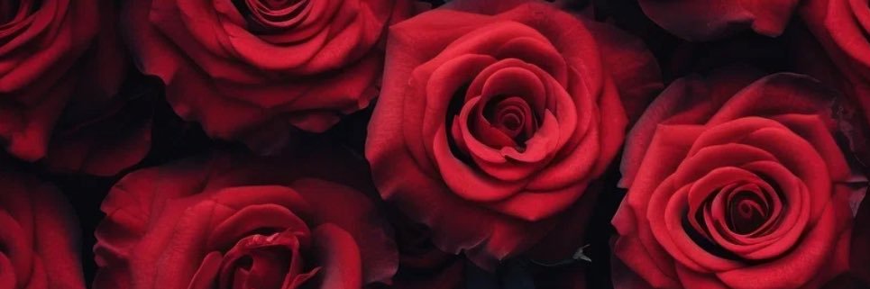Smoochessssss's profile banner image
