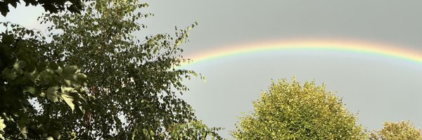 bysuefoster Profile Banner