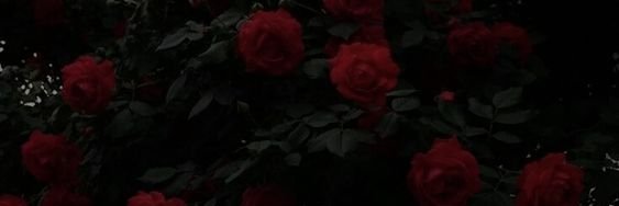itsReiina's profile banner image