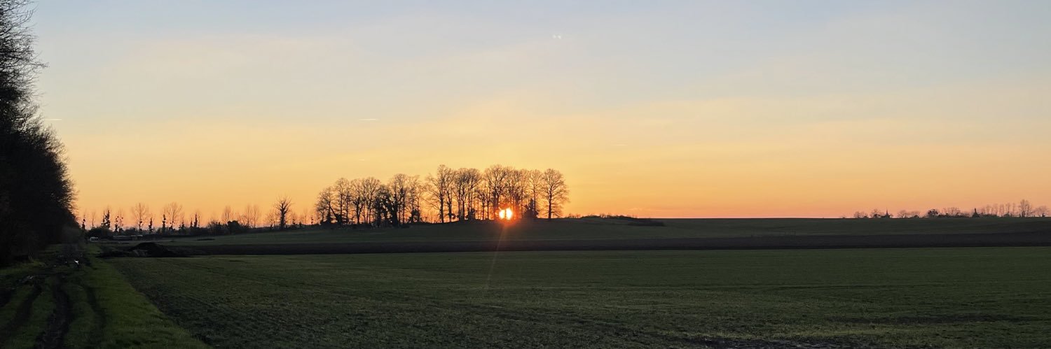Nicolasfrelin's profile banner image