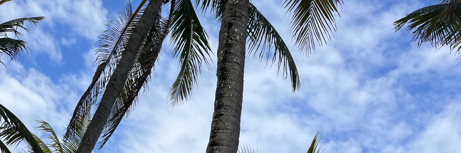 chacacanta's profile banner image