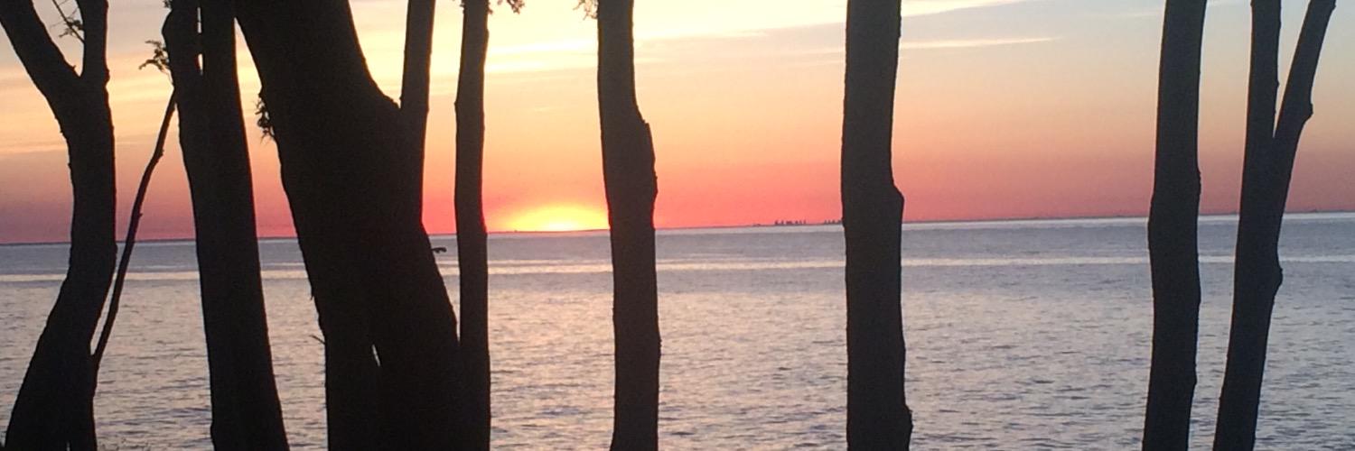 sjd10's profile banner image