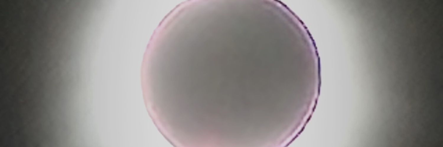 bonstermac's profile banner image