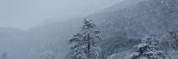 bepsays Profile Banner