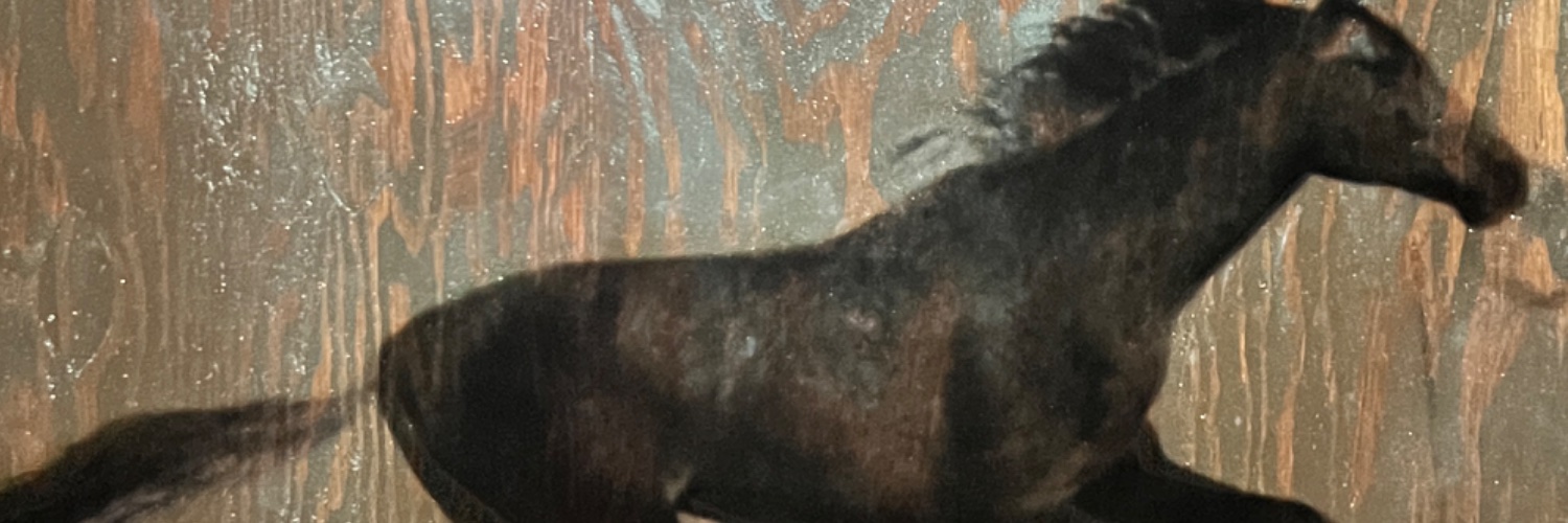 Ruschawn's profile banner image