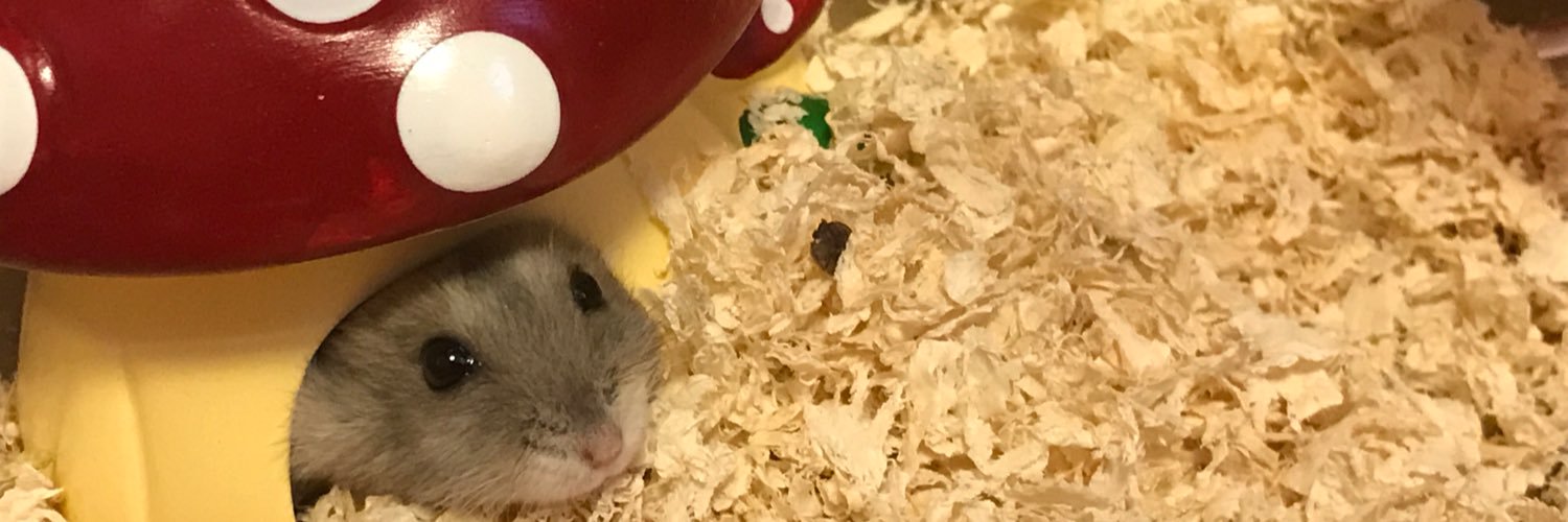 FulFulR8's profile banner image