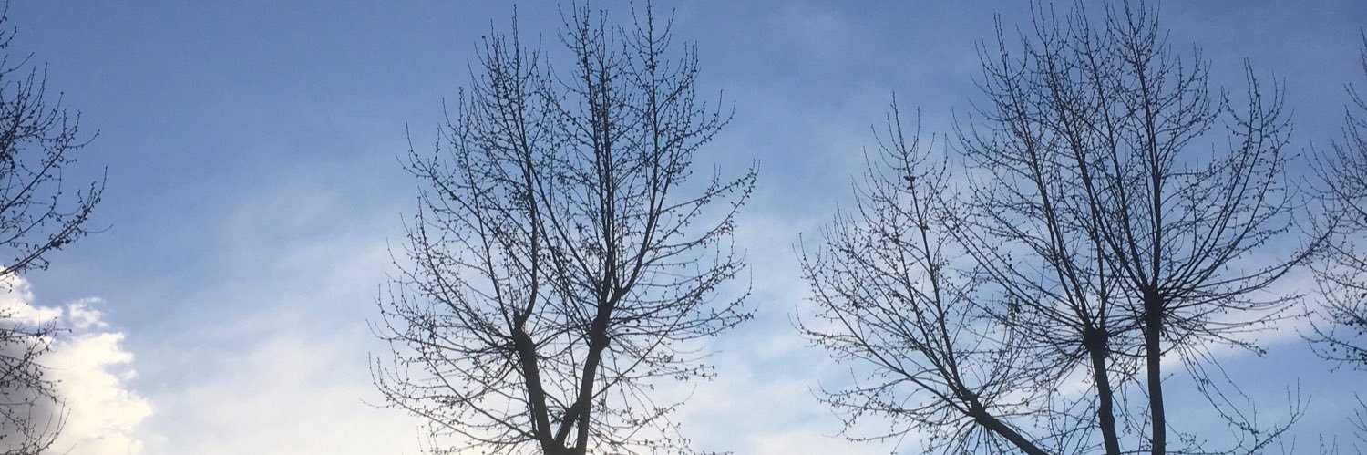 DolorsSt's profile banner image