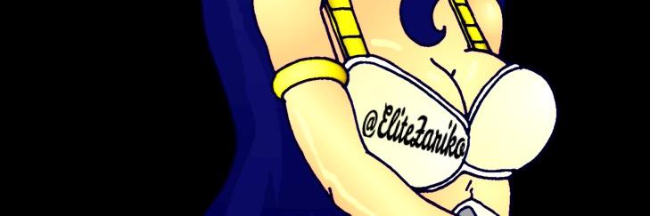EliteZariko's profile banner image