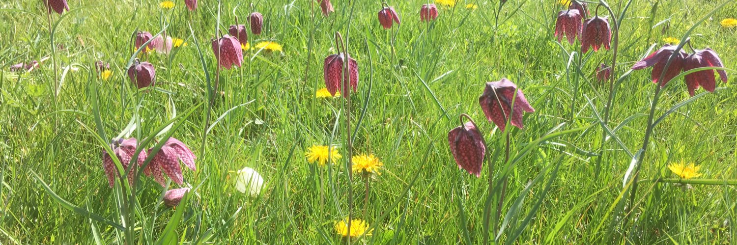 Jonathan Jones 🦆 banner