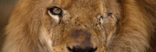 LL_R3LL's profile banner image