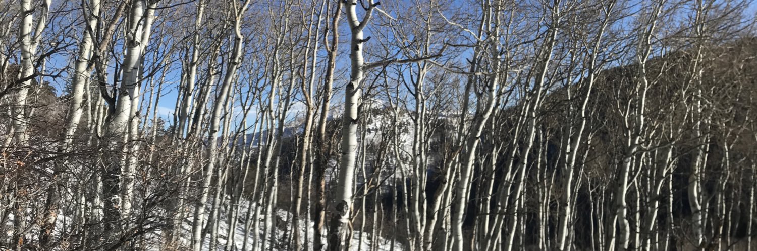 GarCoDemocrats banner