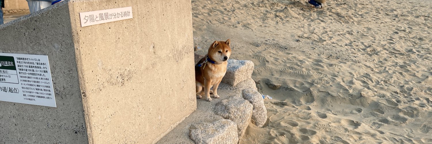 🍙アイリス🍙 banner