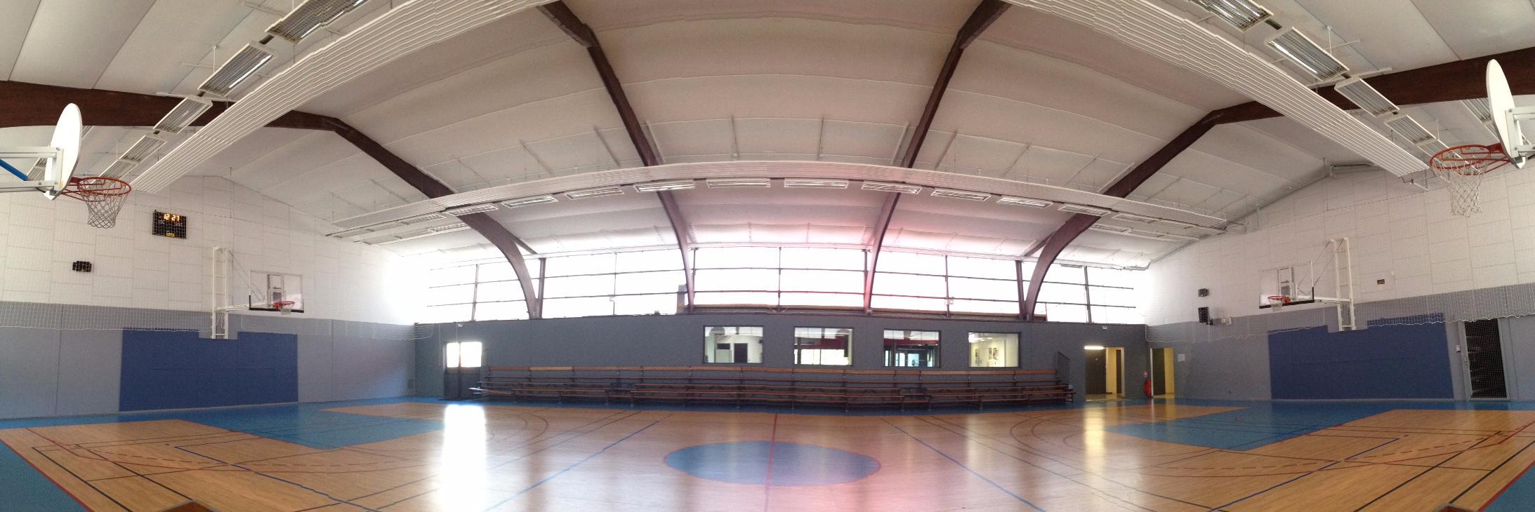 OrvaultSportsBasket banner