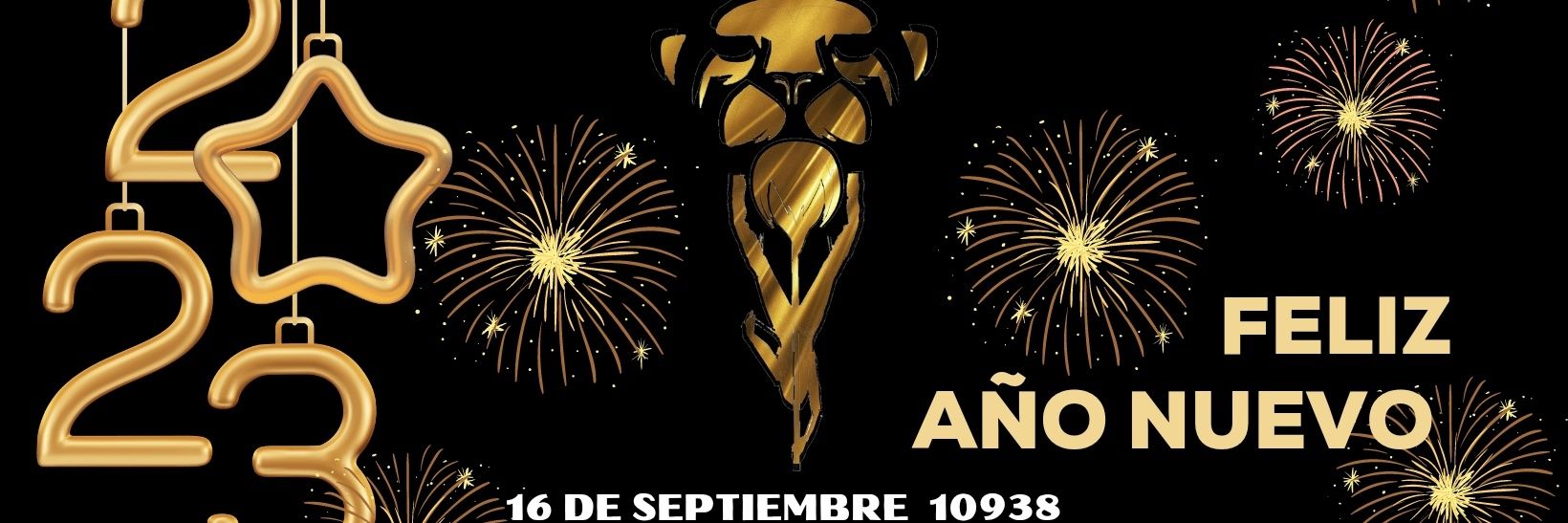 BarLions's profile banner image