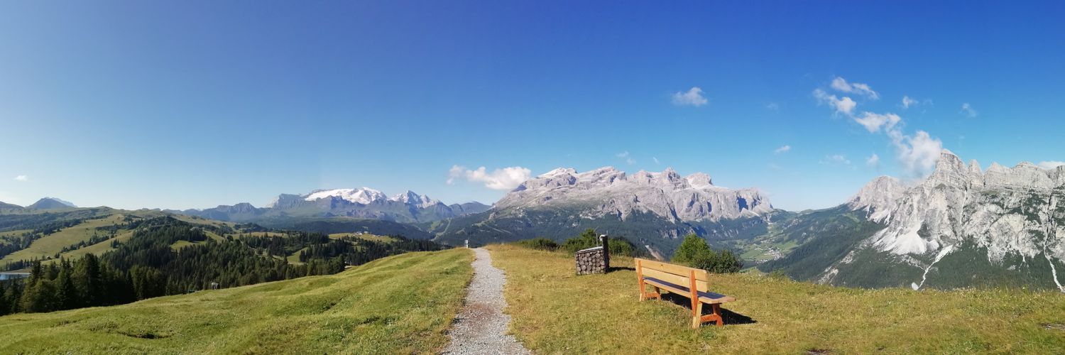 Silvia Alessandrini banner