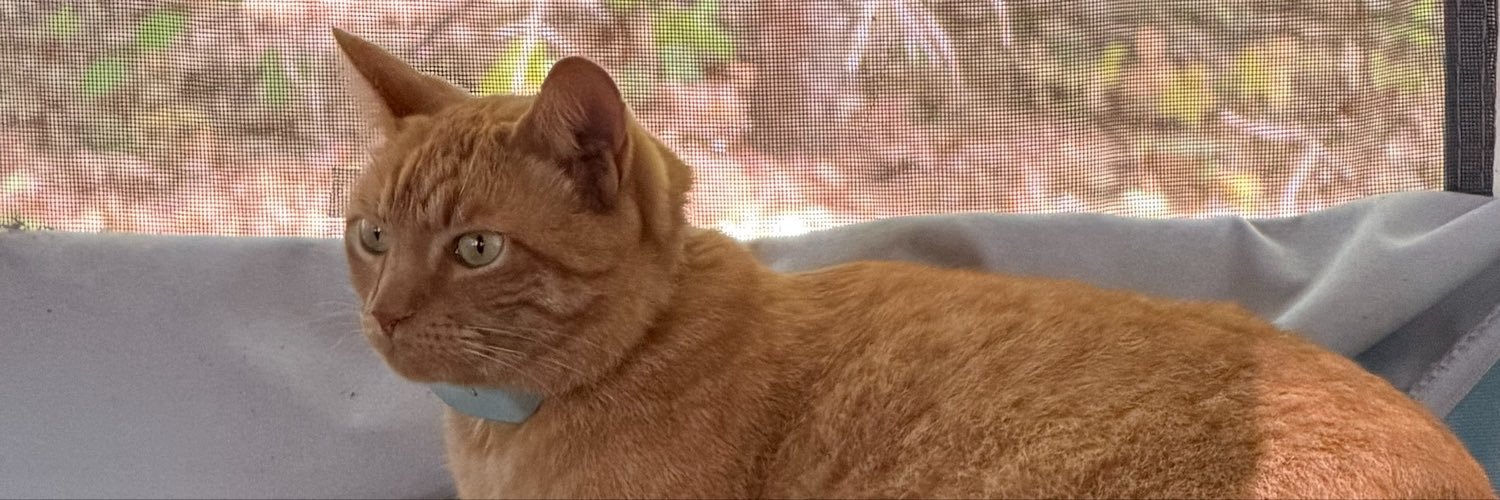 theavbunch's profile banner image