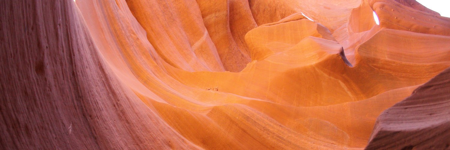 IsaVermorel's profile banner image