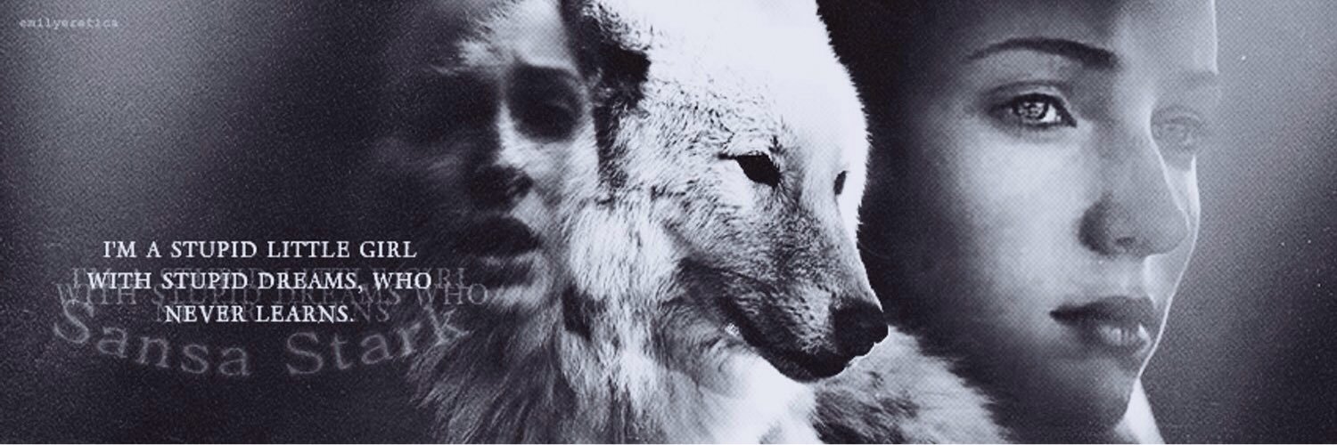 Sansa Stark banner