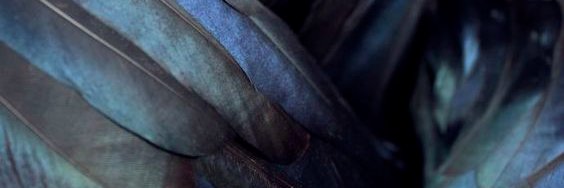 Plajdanov's profile banner image