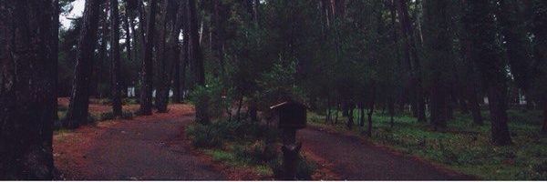 gos123s's profile banner image