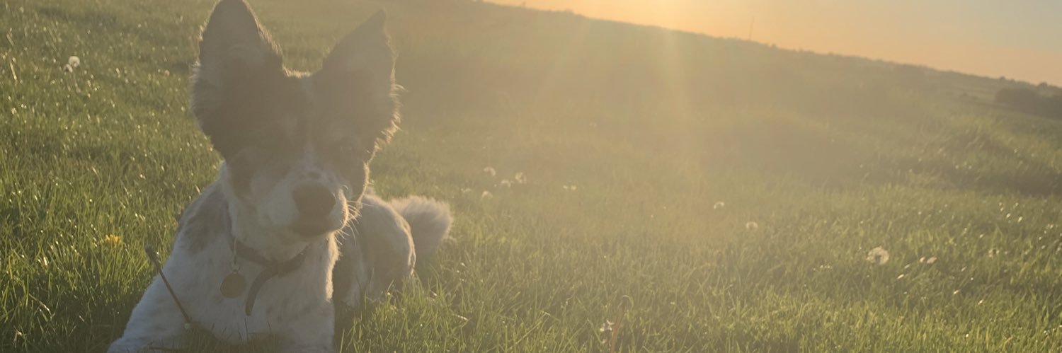 pfateach's profile banner image