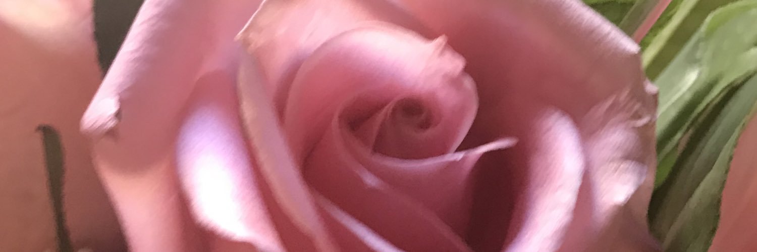 Chloecairo's profile banner image