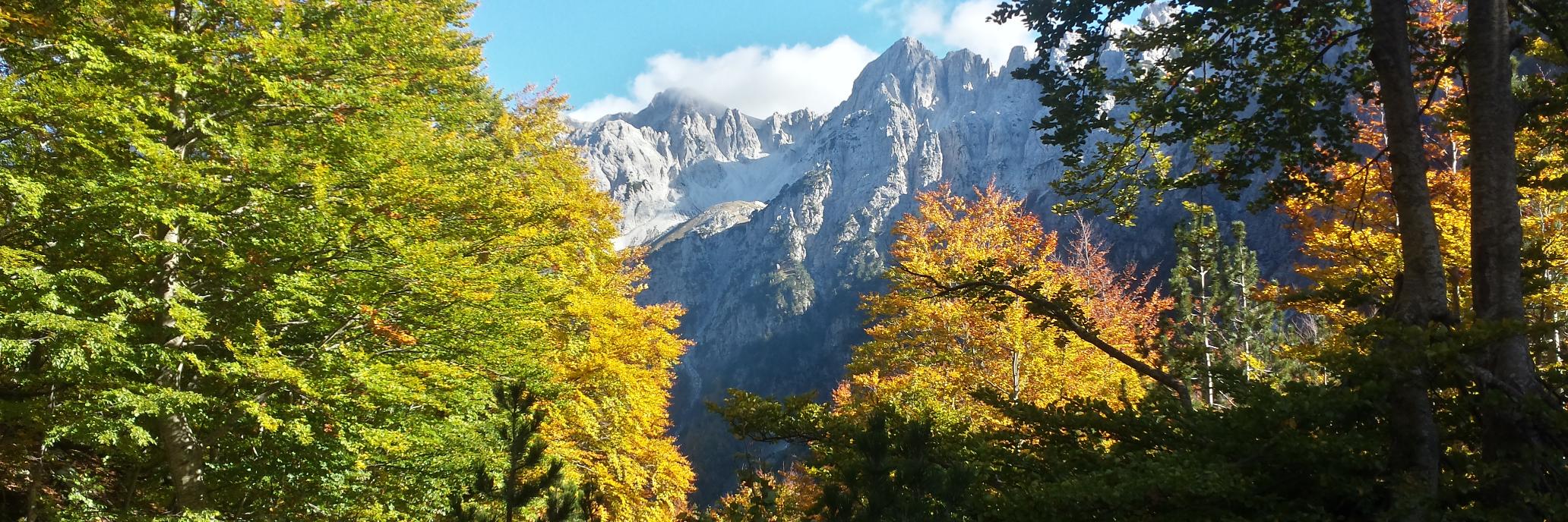 Will Phillips banner