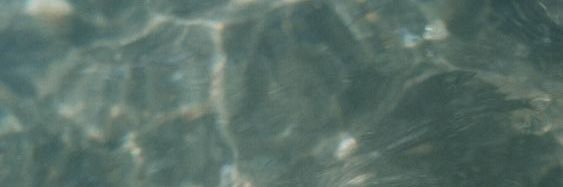 lisbethrobin's profile banner image