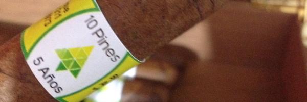 jor_silva Profile Banner