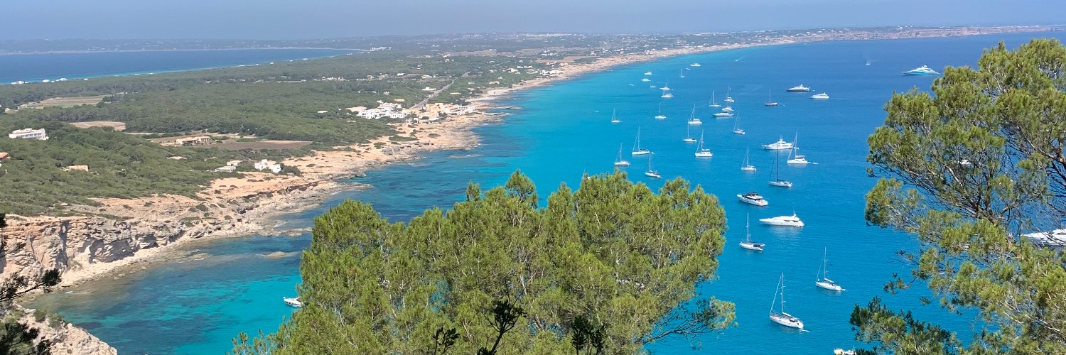 David Álvarez banner