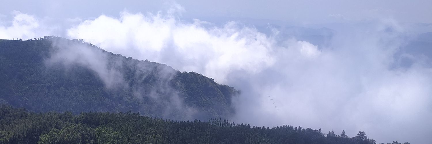 thisishpk's profile banner image