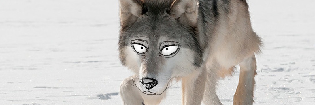 0xDataWolf's profile banner image