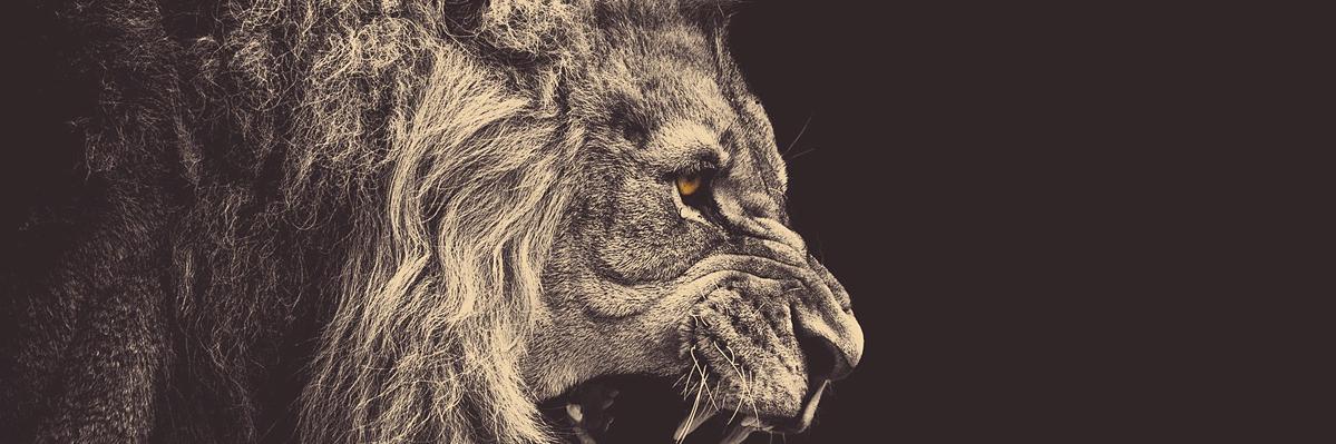 danibb5's profile banner image