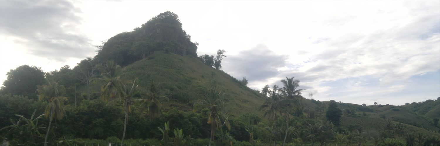 PurwansyahJoni's profile banner image