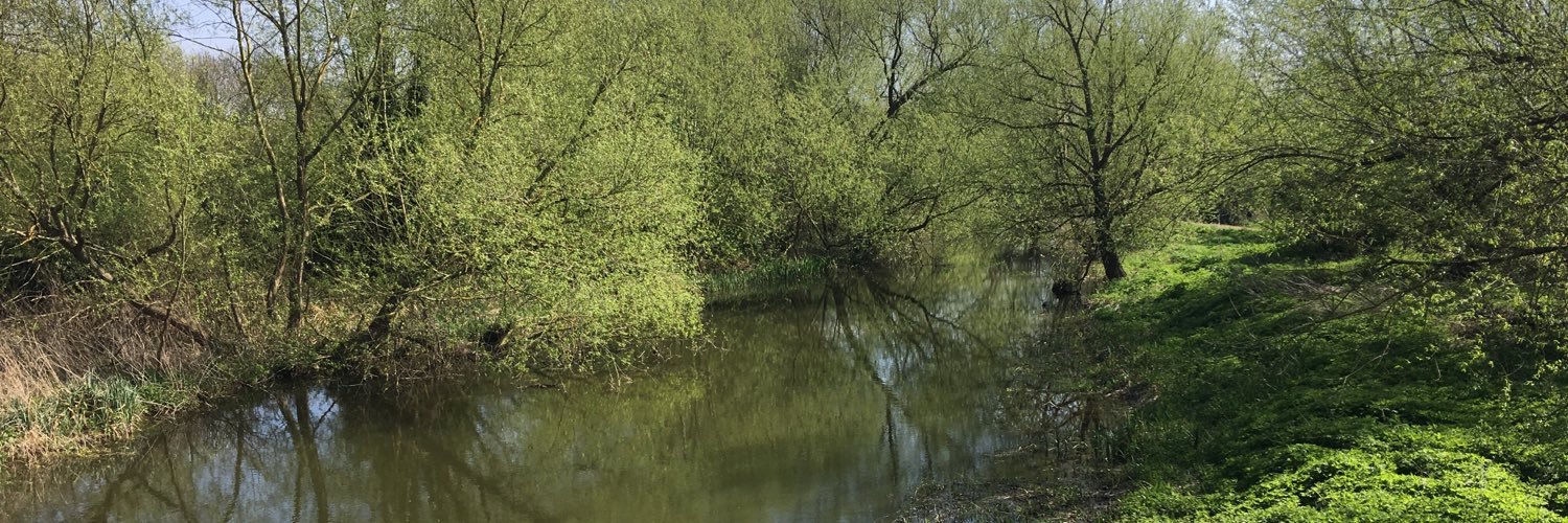 Podycust Blog banner