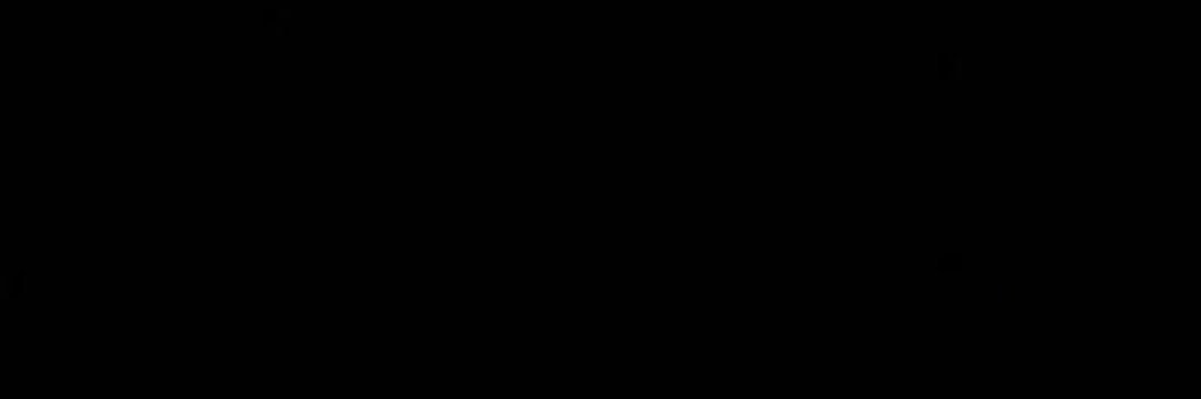 ntcharolina's profile banner image