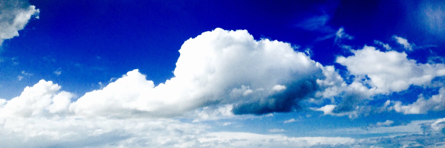 Thomas Bergmann banner