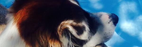 AnaLabordeta Profile Banner