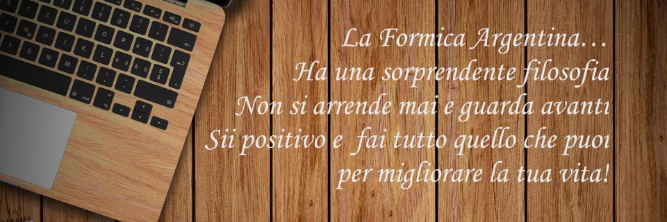 InfoFormica's profile banner image