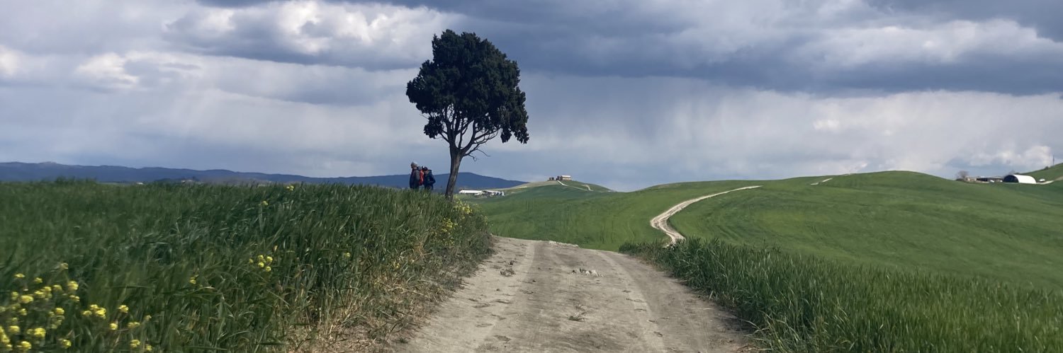 Celik Rruplli banner