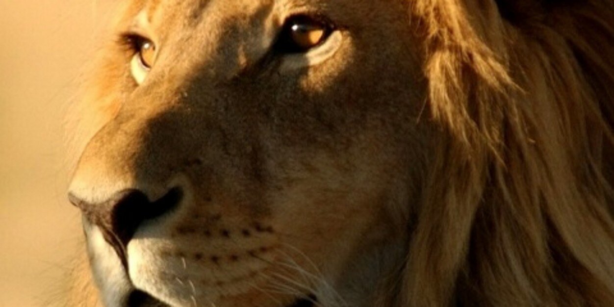 Oytun_07's profile banner image