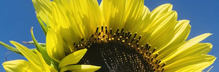 HappyMama_SD's profile banner image
