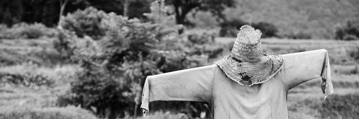 maze332's profile banner image