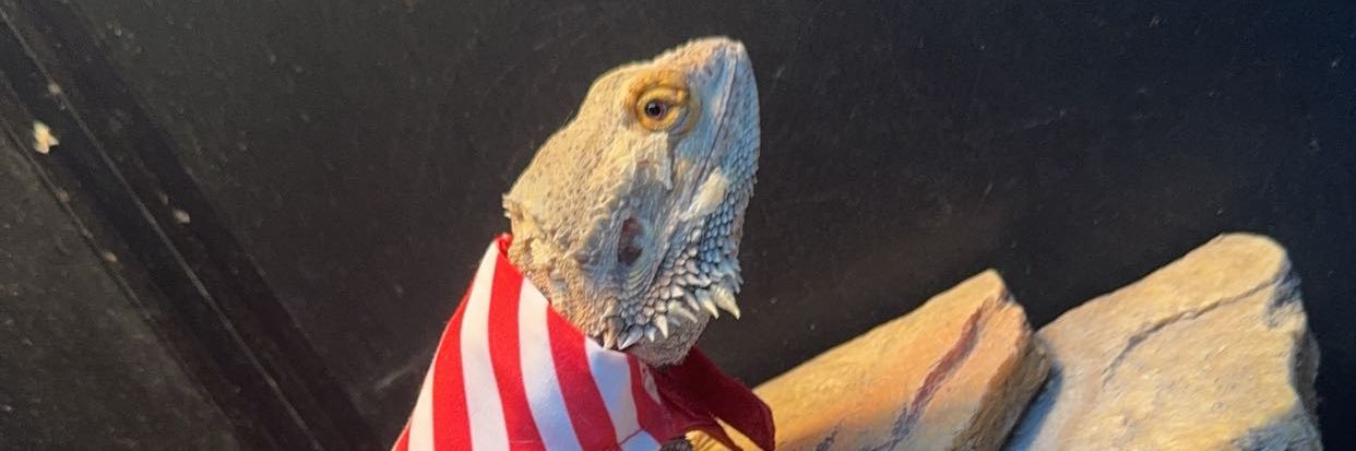 OtToBoT98's profile banner image