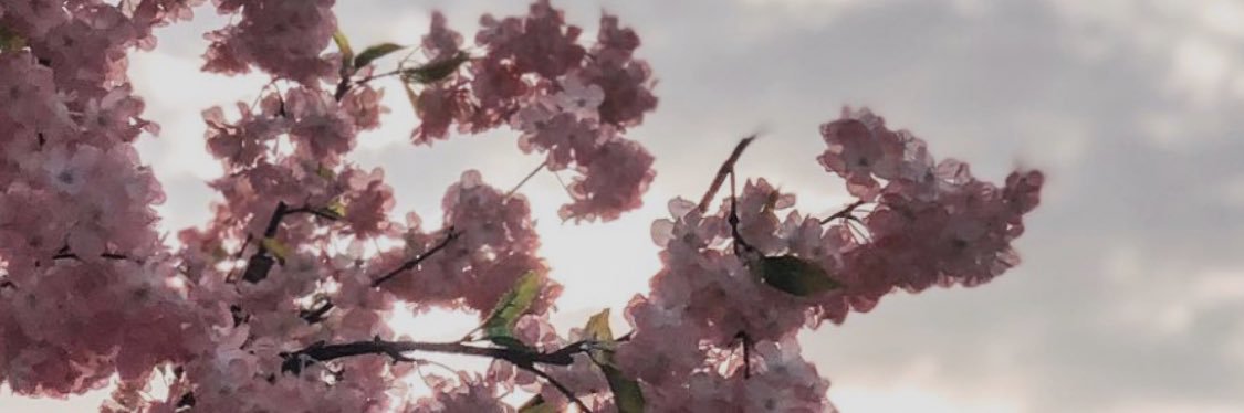 4maha_only's profile banner image