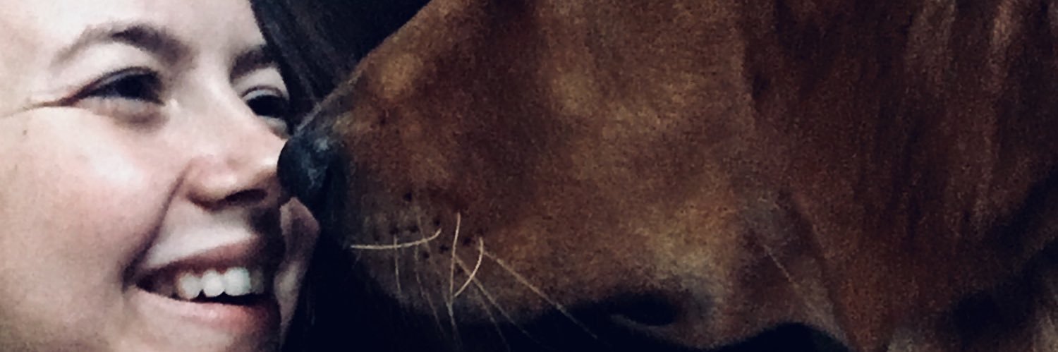 LSapiano97's profile banner image