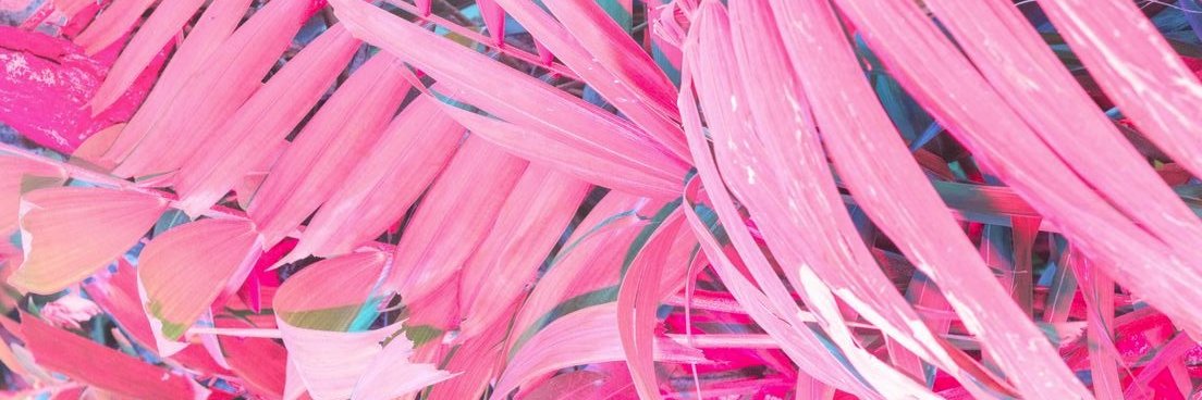 SandraG_S's profile banner image