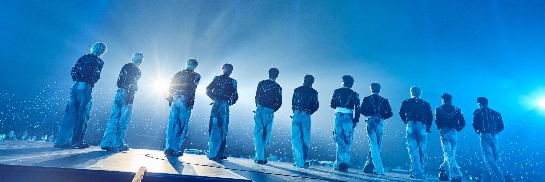 naonao🌺🦊👽 banner