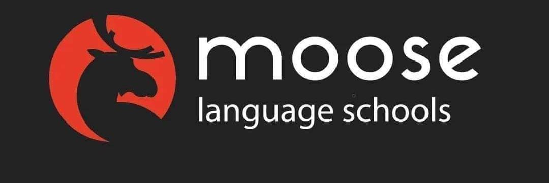 spartanmoose's profile banner image