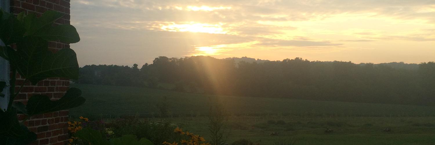 MISCDistillery banner